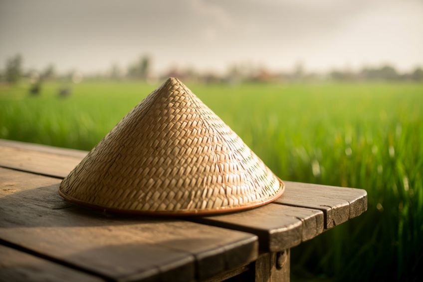 Vietnam