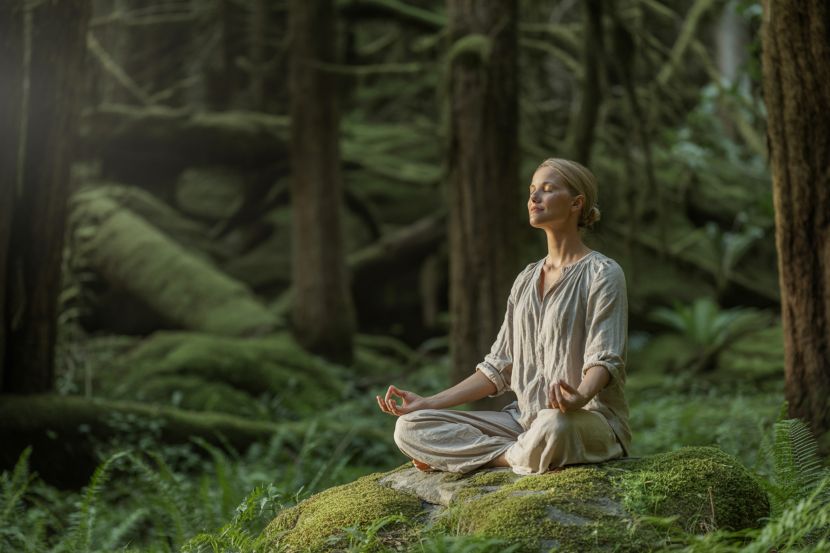 Wellness Tourism Market Growth Driven by Nature-Based and Eco-Friendly Travel