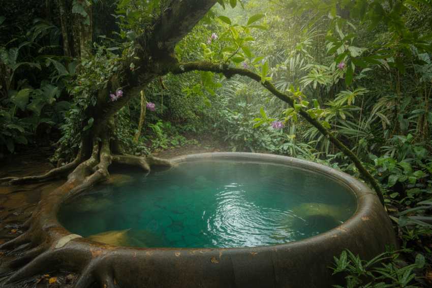 COP30 in Belém, Brazil to Highlight Tourism’s Role in Climate Action with Thematic Days Focused on Low-Carbon and Resilient Futures: What Travelers Need to Know Now – Travel And Tour World