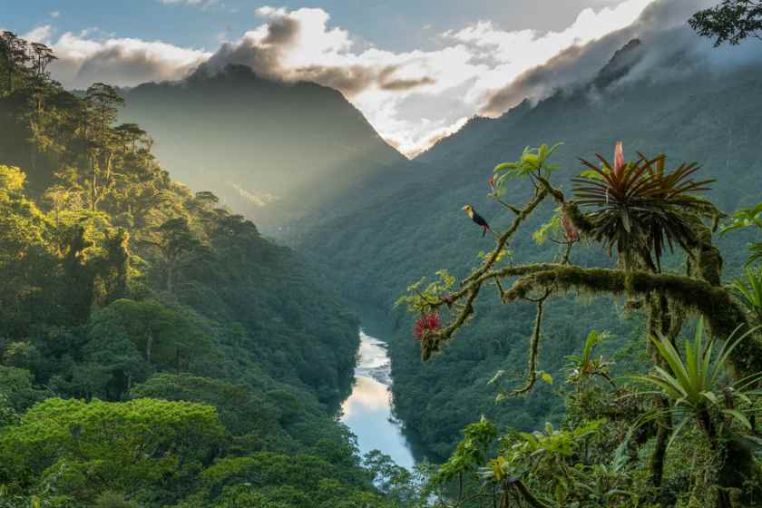 Plan Your Visit: Tayrona National Park To Close Temporarily For Ecological Regeneration Plan Your Visit: Tayrona National Park To Close Temporarily For Ecological Regeneration