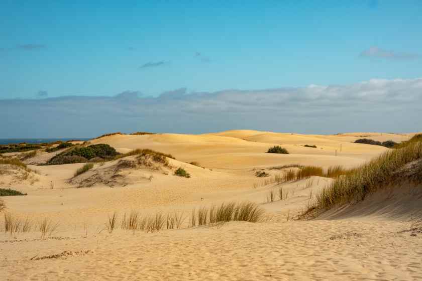 Sustainable Tourism Needed: The Environmental Impact of Horseback Riding on Alentejo Dunes – Travel And Tour World