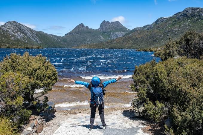 New Zealand To Introduce New Visa Reforms: The Explosive Changes You Won’t Believe That Will Turbocharge Your Immigration Dreams! New Zealand To Introduce New Visa Reforms: The Explosive Changes You Won’t Believe That Will Turbocharge Your Immigration Dreams!