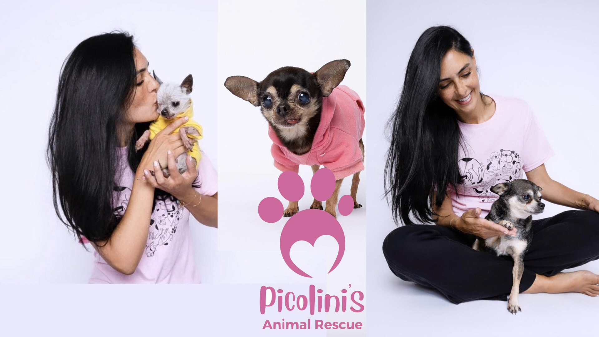 Miami Joins Forces With Global Child And Picolinis Animal Rescue To Provide Lifelong Homes For Senior And Special-needs Dogs: Here’s More You Need To Know Miami Joins Forces With Global Child And Picolinis Animal Rescue To Provide Lifelong Homes For Senior And Special-needs Dogs: Here’s More You Need To Know