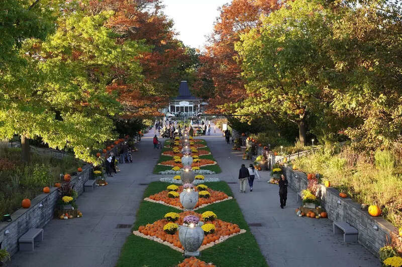 Canada Winter Travel Gains Momentum With Return Of Winter Wonders At Royal Botanical Gardens Featuring New Attractions Canada Winter Travel Gains Momentum With Return Of Winter Wonders At Royal Botanical Gardens Featuring New Attractions