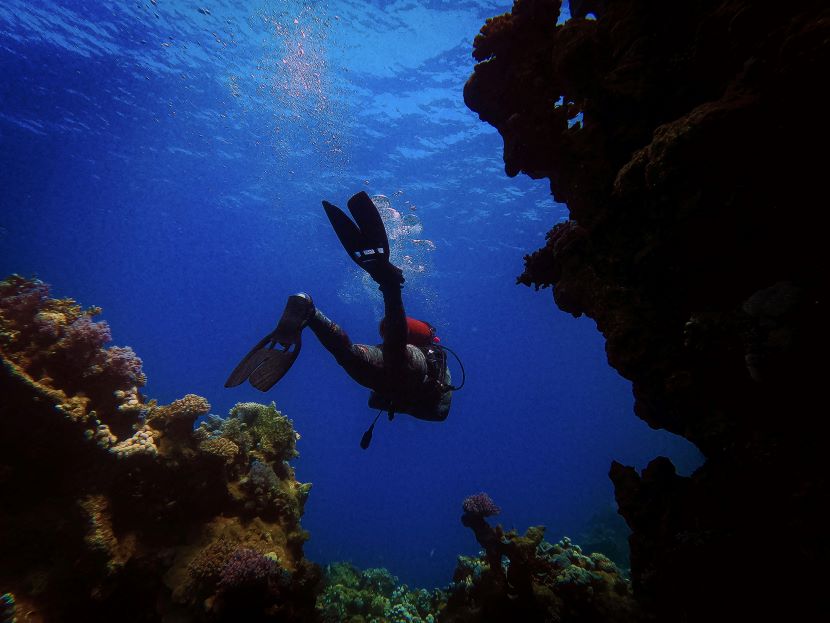 PADI And ATOAI Partner To Embed Global Safety, Certification And Marine Conservation For Transformative Scuba Diving Tourism Growth Across India – Travel And Tour World