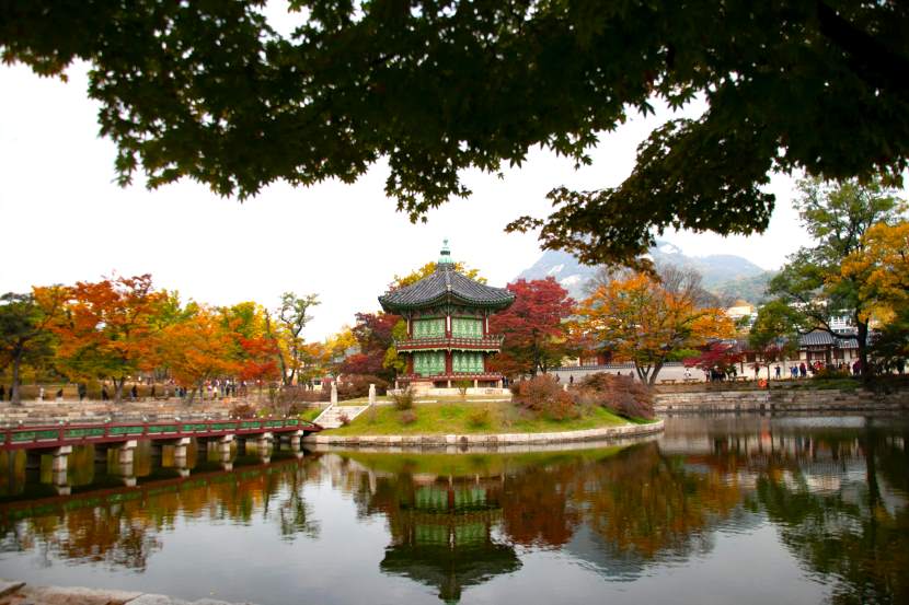Visa reports growing tourist spending in South Korea, with Taiwan and Hong Kong leading in growth, and rising interest in medical, beauty, and contactless payments.