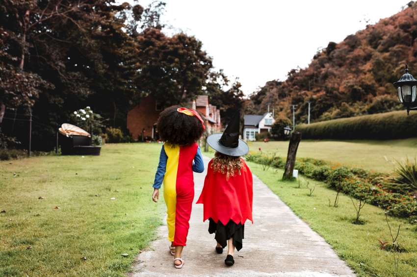 Cambridge Folk Festival In The Uk Announces Grand Return In 2026: A New Era For Live Music And Tourism Cambridge Folk Festival In The Uk Announces Grand Return In 2026: A New Era For Live Music And Tourism