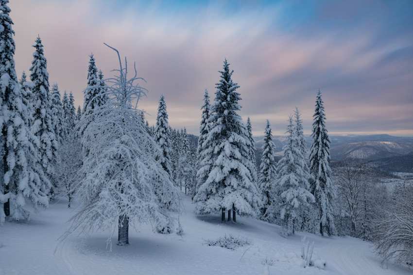 Greater Manchester Hosts Winter Wonderland Festival In 2025: An Enchanting Seasonal Event Boosting Uk Tourism- Check It Out Now Greater Manchester Hosts Winter Wonderland Festival In 2025: An Enchanting Seasonal Event Boosting Uk Tourism- Check It Out Now