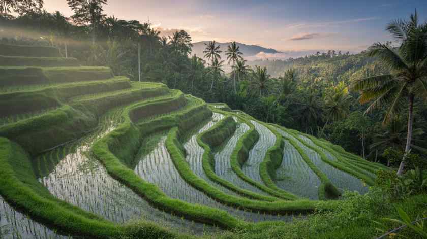 Nusa Penida Strengthens Its Tourism Infrastructure With New Elevator Offering Panoramic Beach Views Nusa Penida Strengthens Its Tourism Infrastructure With New Elevator Offering Panoramic Beach Views