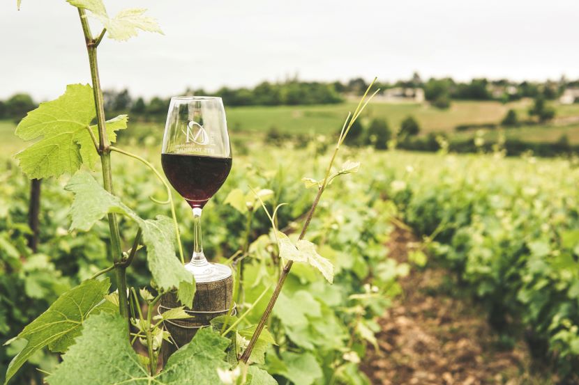 A Global Gathering In Portugal: Charting The Course For Algarve Wine Tourism At The High-profile Lagoa Forum A Global Gathering In Portugal: Charting The Course For Algarve Wine Tourism At The High-profile Lagoa Forum