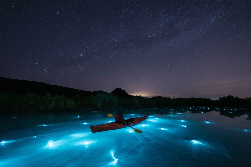 Noctourism: The Ultimate Travel Trend for Night Owls and Adventurers