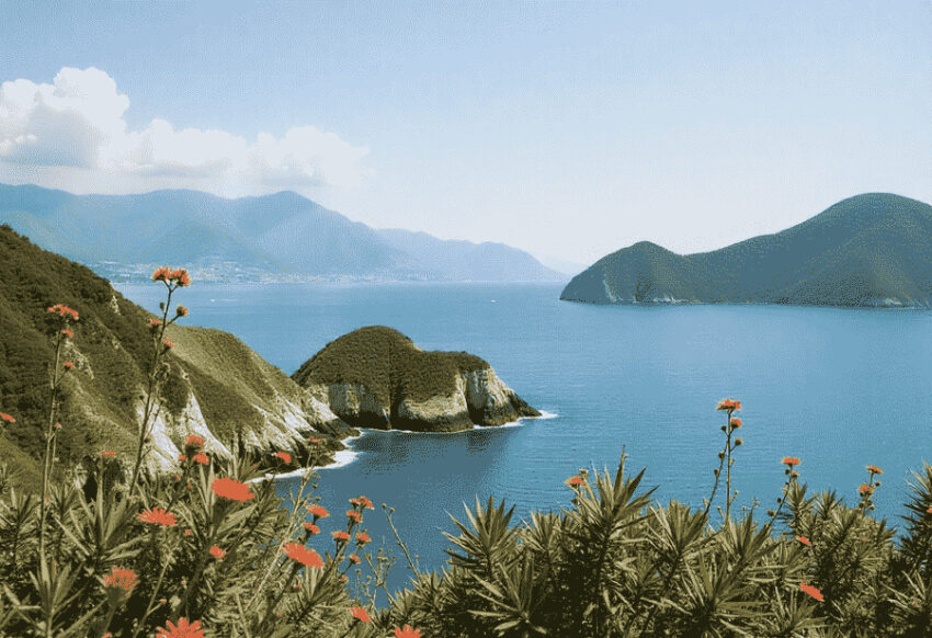 Freepik__us-canada-mexico-austra - travel and tour world