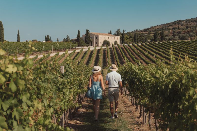 Discover Greece’s Rich Wine Tourism Legacy, from Vineyards to Culinary Delights, Here’s All You Need to Know