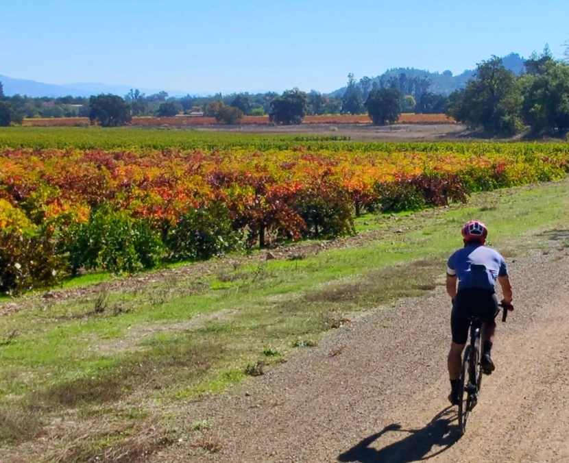 Inaugural Tour De Calistoga Offers Unforgettable Cycling Adventure And Gourmet Delights In Napa Valley: Know More About It Inaugural Tour De Calistoga Offers Unforgettable Cycling Adventure And Gourmet Delights In Napa Valley: Know More About It
