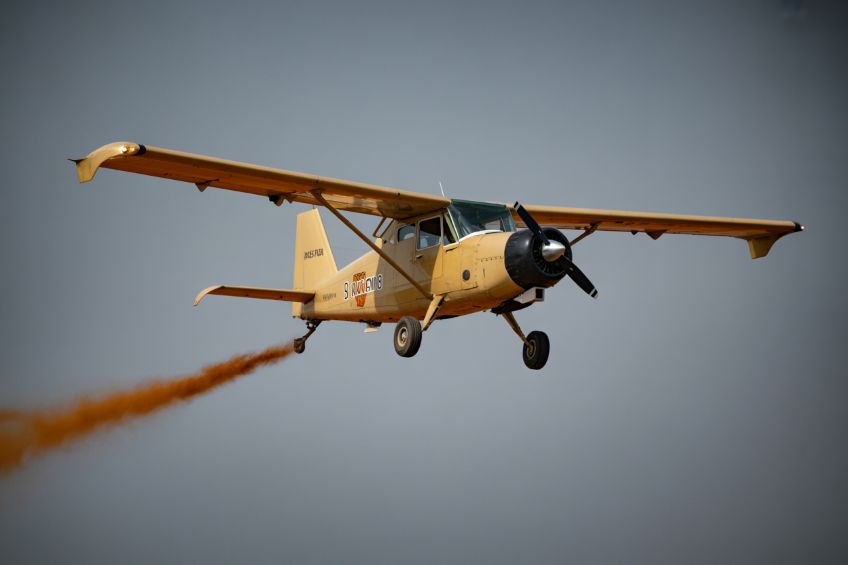 A Dream Safari Turned Nightmare: Eleven Lives Lost In Mombasa Air Safari Flight 203 Crash Near Kwale, Includes Tourists From Hungary And Germany A Dream Safari Turned Nightmare: Eleven Lives Lost In Mombasa Air Safari Flight 203 Crash Near Kwale, Includes Tourists From Hungary And Germany