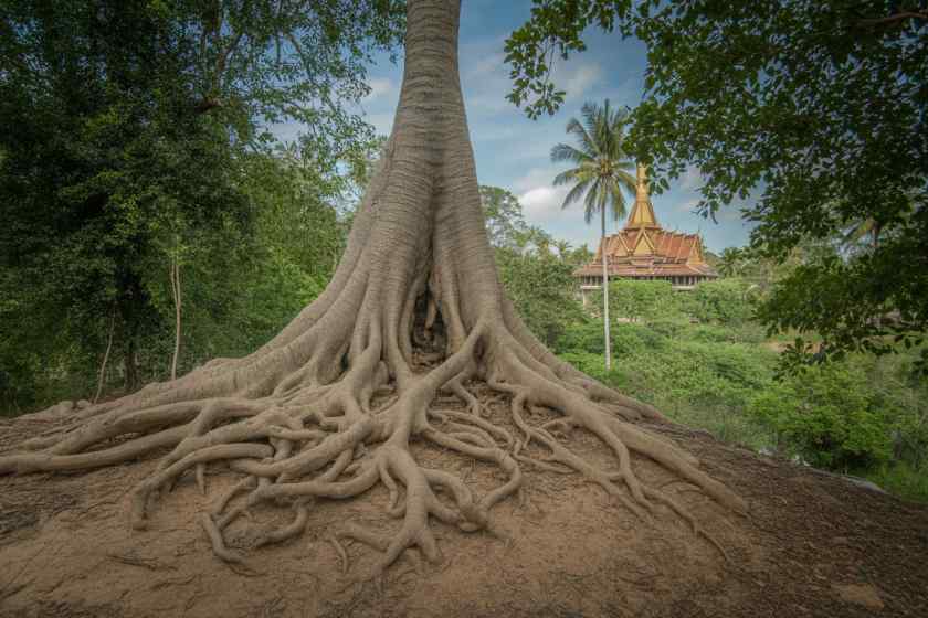 Explore Sambor Prei Kuk, Cambodia: Now A Rising Cultural Destination For International Tourists Explore Sambor Prei Kuk, Cambodia: Now A Rising Cultural Destination For International Tourists