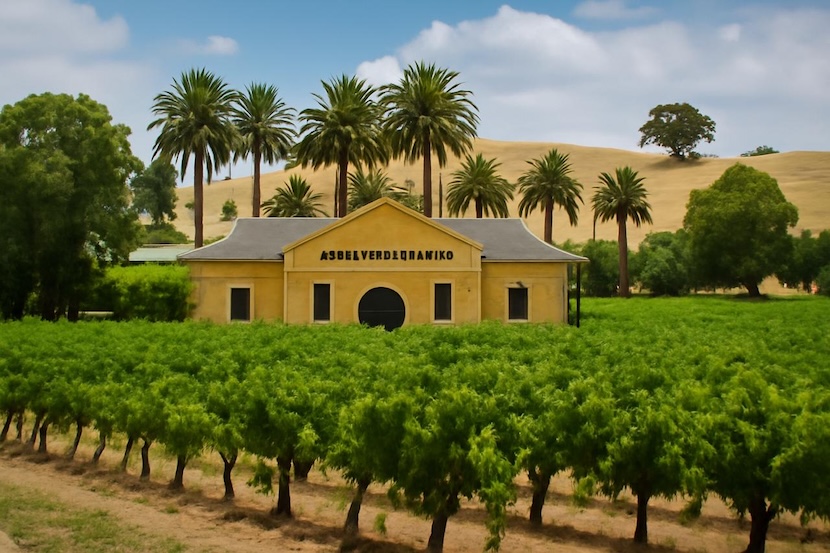 Discovery Princess: The Largest Princess Cruise Ship To Arrive In Australia – What You Need To Know