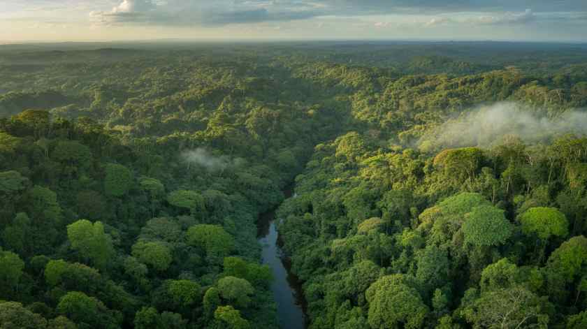 Cop Thirty Now Promotes Regenerative Tourism With Amazonian Island Experiences On Cotijuba And Combu