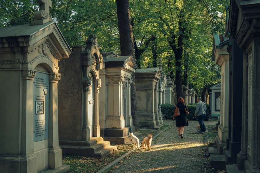 Discover Bucharest’s Historic Bellu Cemetery: A Digital Journey Through Romania’s Most Famous Graveyard
