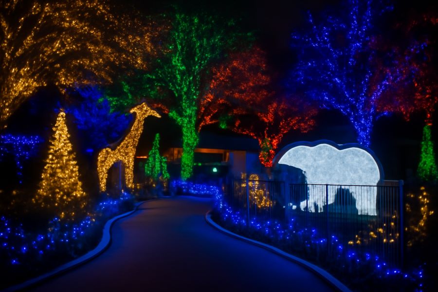 Brookfield Zoo Chicago’s Holiday Magic Brings Festive Lights And Fun For All Ages