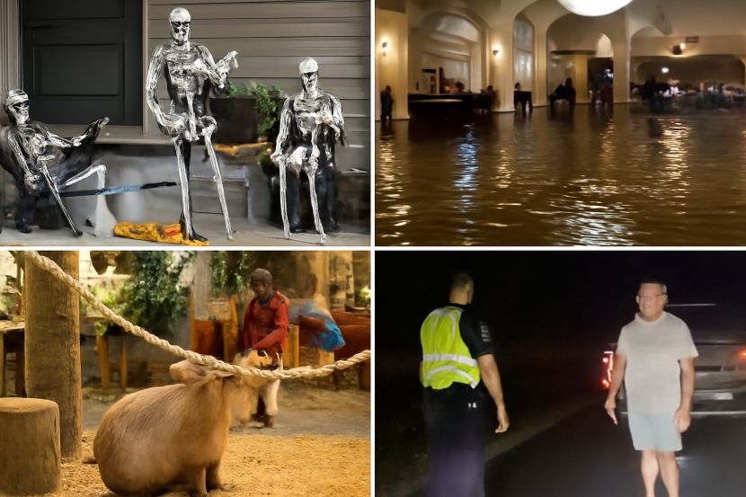 Skeleton Dancing Display Sparks Neighborhood Debate In Minneola, Fl