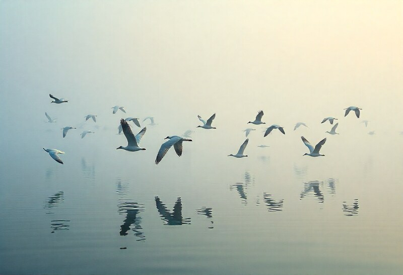 Odisha Experiences A Surge In Tourism As Chilika Lake Welcomes Thousands Of Migratory Birds This Winter Making It The Ultimate Destination For Nature Lovers