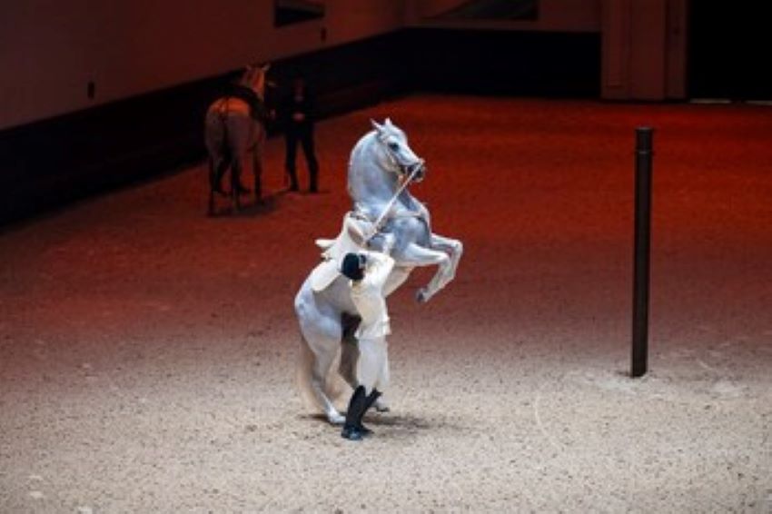 Experience The Art Of Classical Horsemanship At Abu Dhabi’s Revolutionary New School