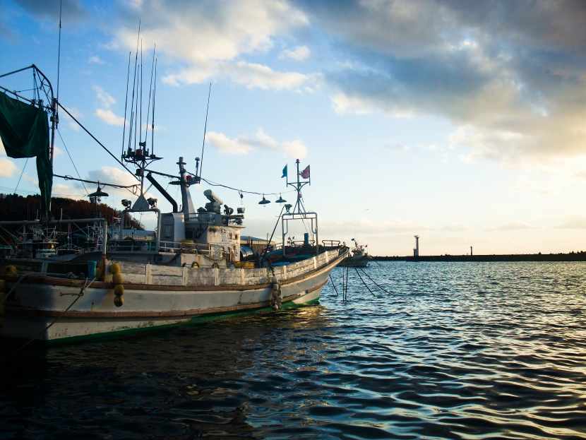 Savor the Taste of Japan: Hokkaido’s MSC-Certified Scallops Hit New York City – A Seafood Event Like No Other!