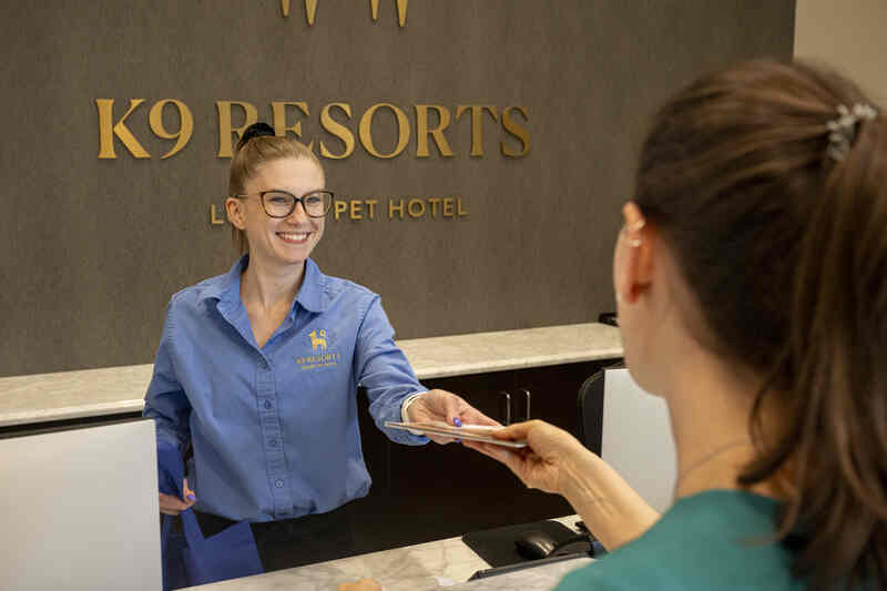 K9 Resorts Expands Across Illinois With Eight New Luxury Pet Hotels In Cook And Kane Counties