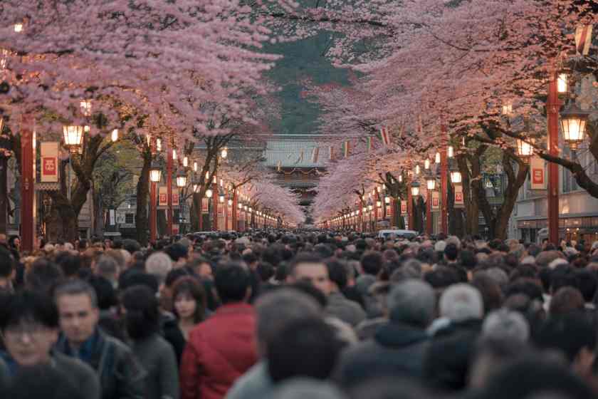 Experience Autumn In Hungary: Momiji Festival At Szeged Botanical Garden