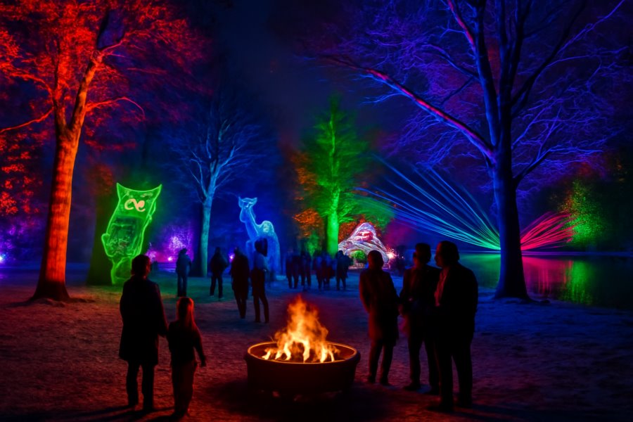 Experience The Magic Of The Season At The Morton Arboretum’s Tree Lights Event