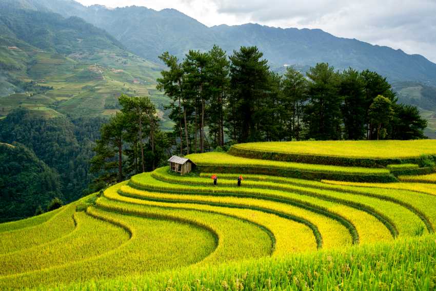 Sa Pa Winter Festival 2025: A Magical Holiday In Vietnam’s Mountain Wonderland