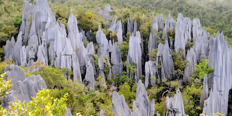 Sarawak Unveils Its Most Ambitious Showcase At World Travel Market London 2025 To Strengthen Global Tourism Presence Ahead Of Visit Malaysia Year 2026