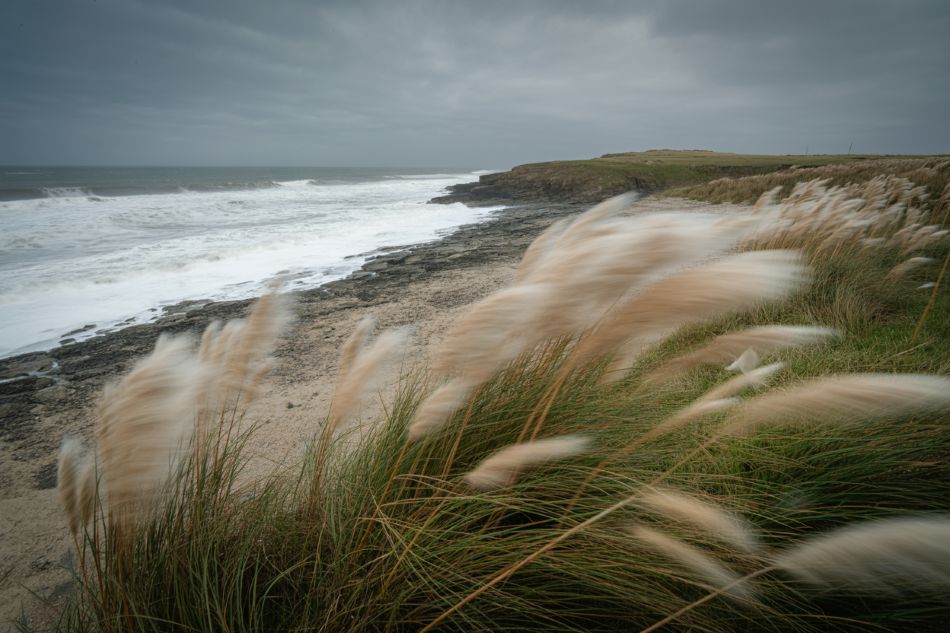 High Wind Warning In California, Us: Tourists Urged To Postpone Their Travel Plans!