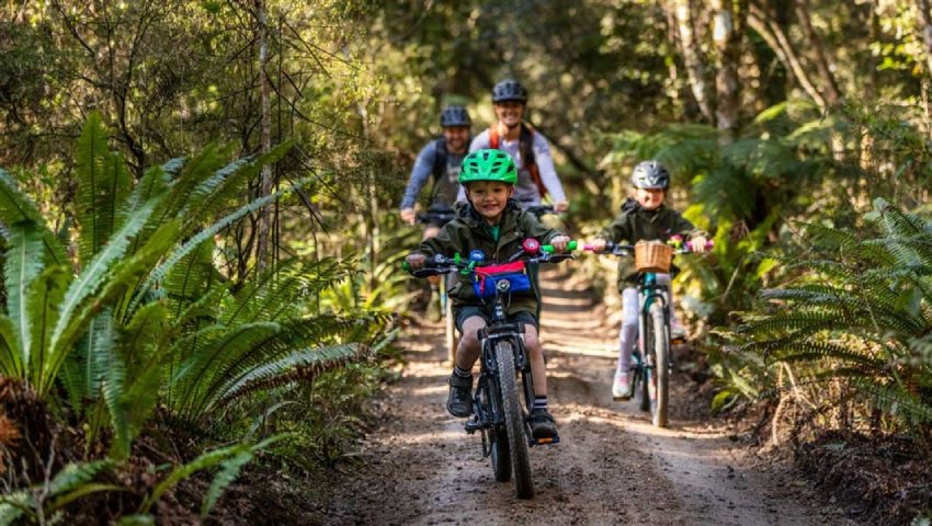 New Cycle Trails In New Zealand Ruapehu Region To Attract Tourists And Fuel Economic Growth With Stunning Views From Mountain To Sea