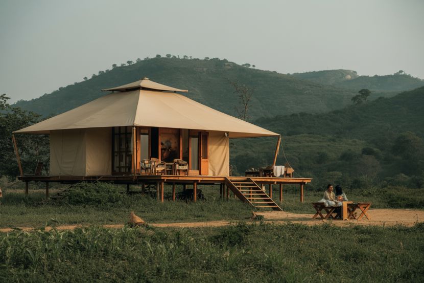 TOFT’s Role in Rewilding Tourism: A New Era for Sustainable Travel in South Asia – Travel And Tour World