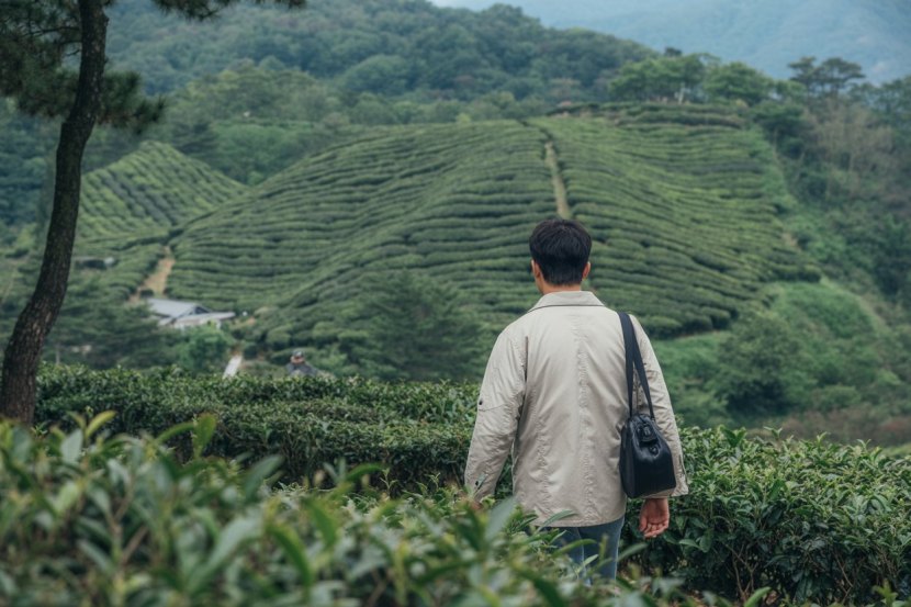 Boseong County: A Tea Lover’s Paradise In South Korea