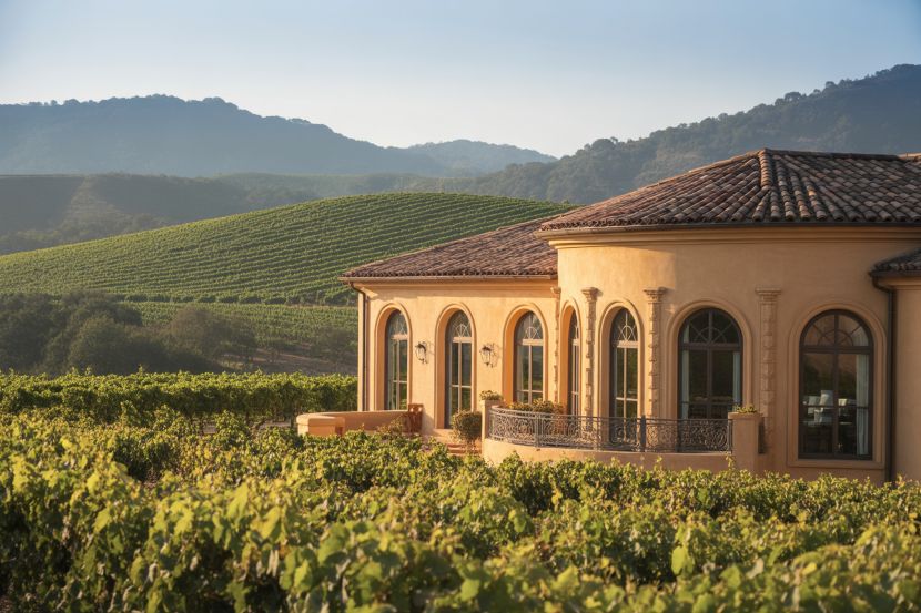 A glimpse of the upcoming casa mani resort napa valley amidst the iconic napa vineyards.