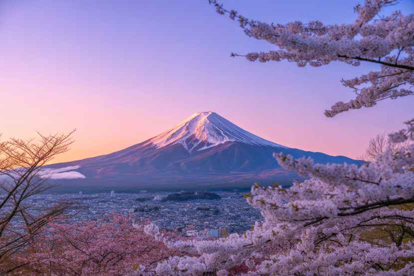 Japan Beats Costa Rica, Canada, Australia, Peru, South Africa and More to Claim the Title of the World’s Most Desirable Destination of 2025 – Your Ultimate Travel Dream Awaits!