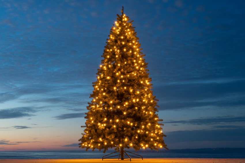 Nasr School’s Grand 50-Foot Christmas Tree in Hyderabad Becomes a New Landmark Attraction for Tourists and Visitors Across India