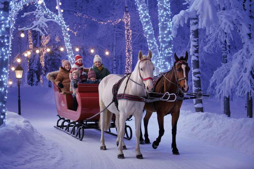 Shelby Ranch Sleigh Ride