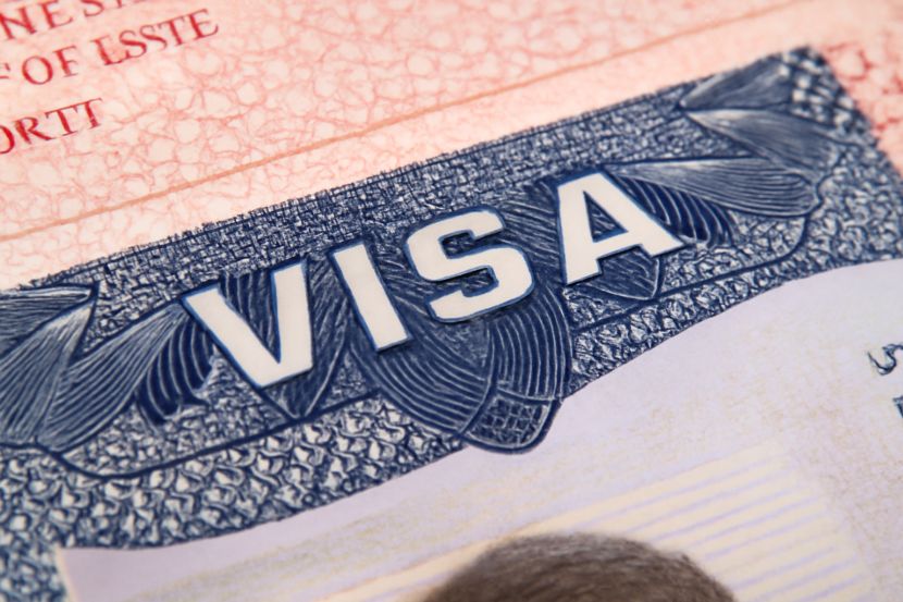 Qatar
Hayya Visa updates