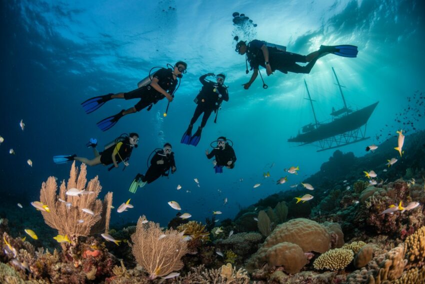 Indonesia Unveils National Diving Directory: A 2026 Guide to Sustainable Marine Tourism & Safety