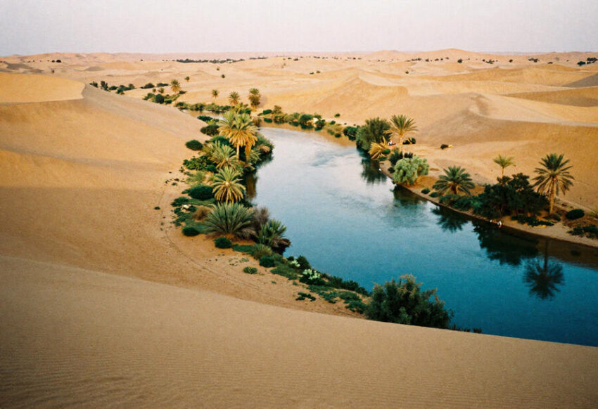 Saudi Arabia Joins Bahrain, Italy, Kuwait, China, Spain, And Jordan,
Canada Issues Urgent Travel Warning,