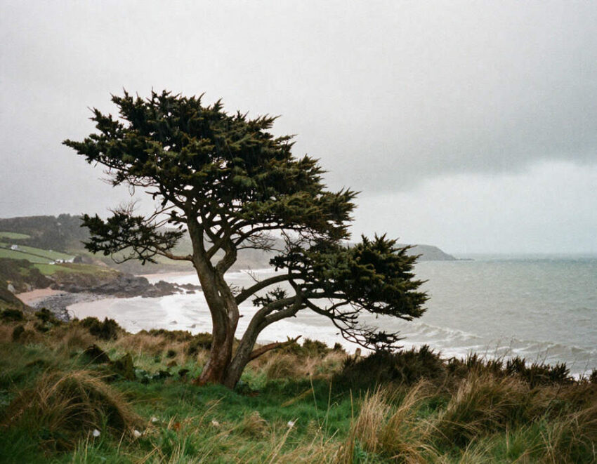 United Kingdom
weather event