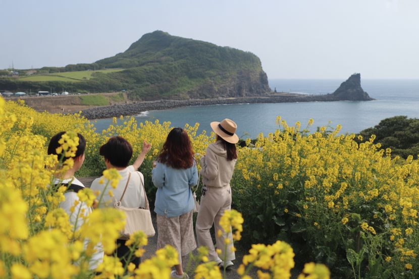 Jeju Island's International Tourism Boom