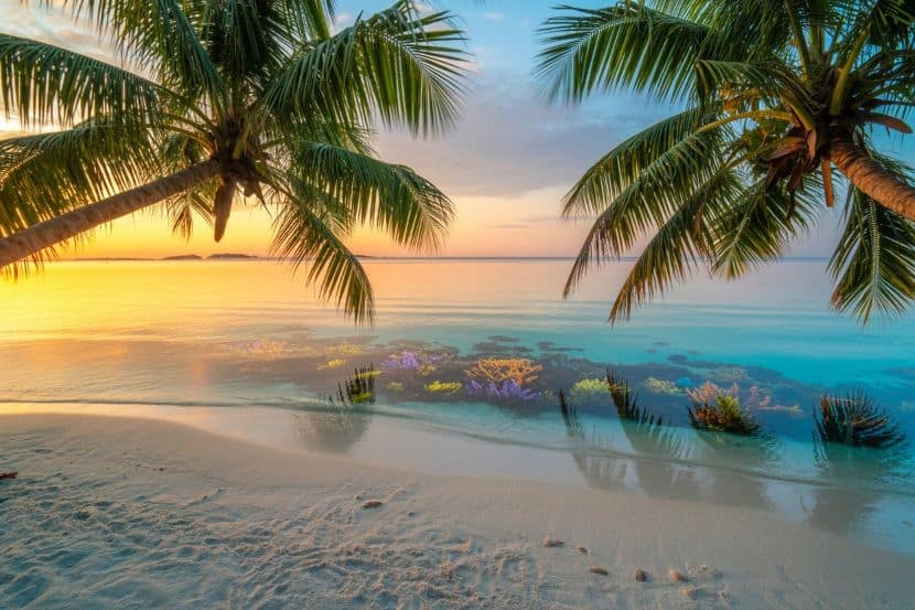 Tropical beach in the philippines at sunset - travel and tour world Coastal ecosystems