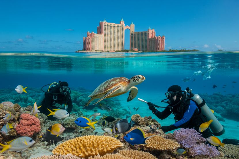 Atlantis paradise island highlights marine conservation and sustainable tourism initiatives in the bahamas
