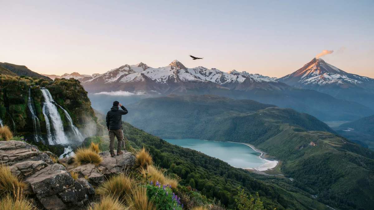 Traveller exploring brazil's Amazon Rainforest with Rio de Janeiro skyline at sunrise.
