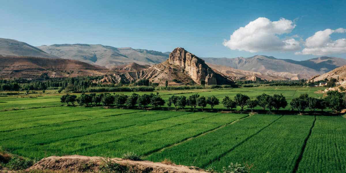 High-level-description-a-landsca - travel and tour world